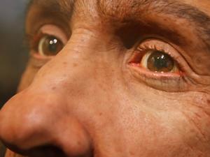 Recreación de un neandertal./ Adam Foster. National Museum of Natural History (FLICKR)