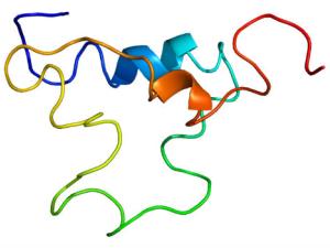 Estructura de la proteína IGF1. / Emw (WIKIMEDIA)