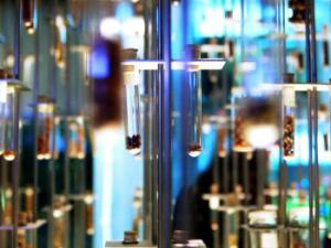 Necesitamos cambiar la imagen de la ciencia y la investigación entre todos y trabajar para conseguir una definitiva "igualdad de género". / makunin (PIXABAY)