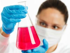 En la red de Institutos Madrileños de Estudios Avanzados (Imdea) se concentra uno de los principales focos de talento de la Comunidad de Madrid. / PublicDomainPictures (PIXABAY)