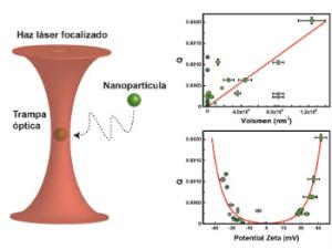 Izq.: Representación esquemática de una partícula ópticamente atrapada. Derecha arriba: Fuerza óptica en función del volumen. Derecha abajo: Fuerza óptica en función del potencial zeta. /Imagen adaptada de Nano Letters 2018 18 (1), 602-609.