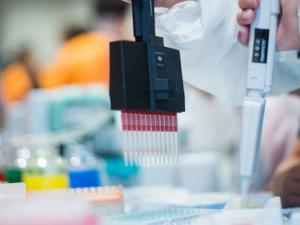 Madrid celebra su gran Noche Europea de los Investigadores e Investigadoras