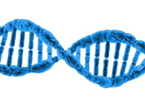Las proteínas descubren nuevos secretos de la física cuántica 