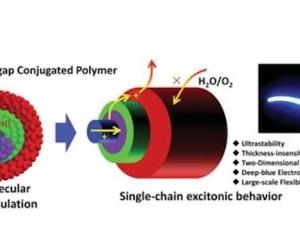 The helical structure of the insulated molecular wire proposed for stable light-emitting applications.  / Advanced Materials. 