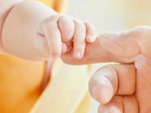 Como la leche materna es un bien escaso, es fundamental priorizar a los que serán receptores y ajustar las características de la leche donada a las del bebé que la recibe. / RitaE (PIXABAY)