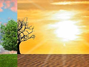 El pasado da pistas sobre qué regiones pueden ser las más afectadas por los cambios climáticos. / Tumisu (PIXABAY)