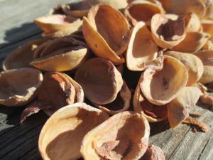 Cáscaras de pistacho para limpiar el agua