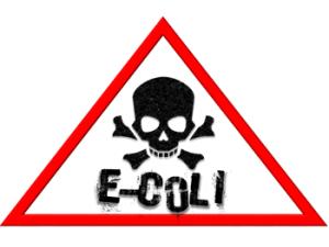 Una proteína 'diseñada' por la naturaleza hace cuatro mil millones de años es eficaz hoy en día. / missjoe99 (PIXABAY)