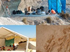 Vista general del estrato fértil de Venta Micena (Orce). / Universidad de Málaga (UMA)