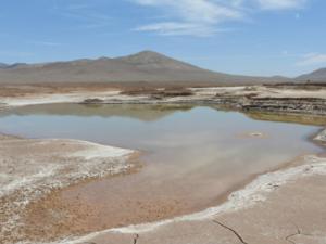 Lagos formados en el corazón del desierto de Atacama durante las lluvias. / ©Carlos González Silva