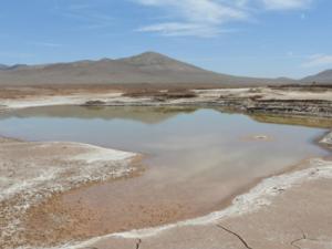 Lakes formed in the heart of the Atacama desert during the rains. / ©Carlos González Silva