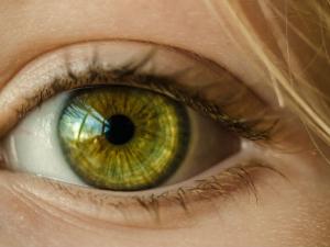 Nueva prótesis de retina para dar cierta capacidad de visión a algunas personas invidentes. / Skitterphoto (PIXABAY)