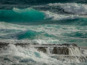 La presencia de contaminantes en el medio determina la distribución de los organismos, ya que estos seleccionan los hábitats más favorables, evitando las condiciones más adversas. / dimitrisvetsikas1969 (PIXABAY)