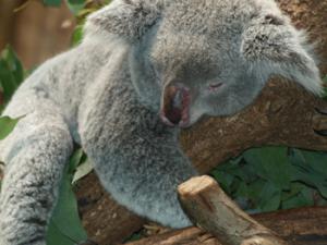 ¿Se puede contagiar la pereza?