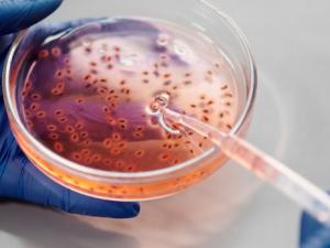 pexels-edward-jenner-40314