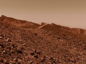 pexels-rodnae-productions-847