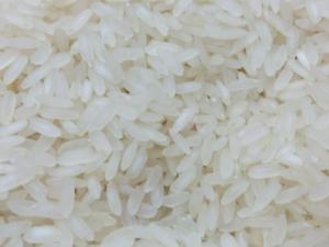 Tres proteínas producidas en semillas de arroz neutralizan el VIH 'in vitro'