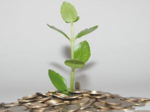 Entre las acciones divulgativas diseñadas por este equipo multidisciplinar europeo, se ha elaborado material educativo basado en la llamada 'gamificación' o 'ludificación'. / Mizianitka (PIXABAY)