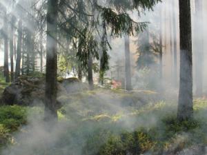 El cambio climático aumenta el potencial devastador de los incendios en la Europa mediterránea