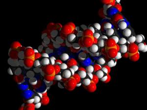 Logran las primeras simulaciones estables de cristales de ADN