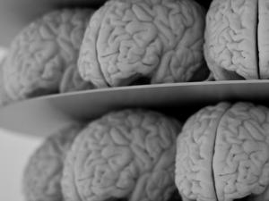 Ilustración de cerebros almacenados. / Neil Conway (FLICKR)