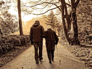 El declive físico es más lento si vives en áreas con más espacios verdes