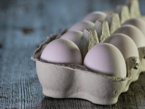 La producción de huevos se ha incrementado en las últimas décadas y ha alcanzado un volumen de 68 millones de toneladas en todo el mundo. / monicore (PIXABAY)