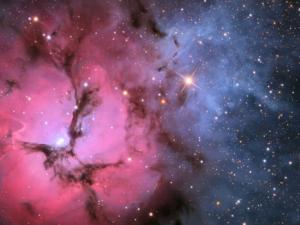 La nebulosa Trífida en Estrellas y Polvo. / Adam Block, Mt. Lemmon SkyCenter, U. Arizona (NASA)