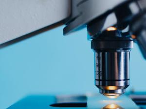 Entregados los Premios Nacionales de Investigación