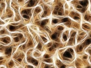 Descubierto un mecanismo fundamental para reparar los nervios dañados. / geralt (PIXABAY)