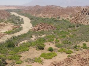 El investigador de la Universidad de Granada realizó un muestreo en varios ríos intermitentes de Namibia, como el Ugab. / Marcos Moleón Paiz