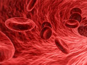 Ilustración de torrente sanguíneo. / qimono (PIXABAY)