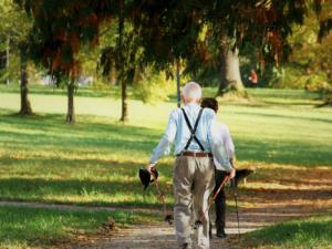 Vecindarios más verdes se asocian con menor deterioro cognitivo en mayores