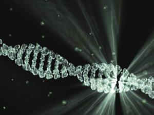 Muchos de los genes asociados al riesgo de esquizofrenia son necesarios para el funcionamiento normal del organismo, y normalmente no presentan mutaciones dañinas. / LaCasadeGoethe (PIXABAY)