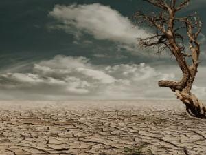 La temperatura superficial promedio de la Tierra subió aproximadamente 0,9º C desde 1900 hasta 2013. A finales de 2016, la temperatura de la superficie terrestre había subido 0.24º C. / _Marion (PIXABAY)