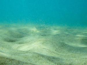 El CO2 antrópico destruye los fondos marinos