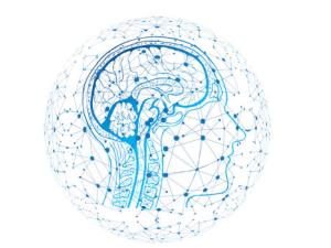 El entorno influye genéticamente en la inteligencia