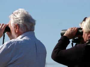 La longevidad aumenta con el tiempo. / Skullman (PIXABAY)