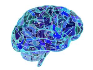 Descubren cómo pensamos los seres humanos