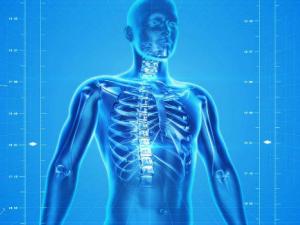 Importante paso para comprender el secreto de la precisión genética