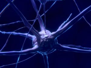 Descubren las neuronas que reescriben los recuerdos traumáticos. / ColiN00B (PIXABAY)