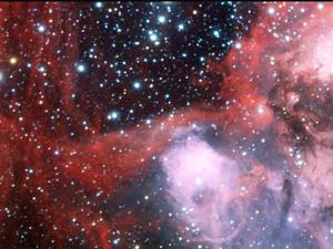 Somos hijos de estrellas lejanas