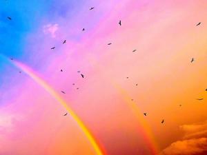 Desvelan el secreto de la percepción visual de la velocidad