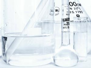 Lourdes Ramos figura dentro de la categoría Public Defenders, que reconoce a los investigadores que trabajan para "proteger a las personas y al planeta". / PublicDomainPictures (PIXABAY)