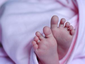 La sepsis neonatal es una infección invasiva, en general bacteriana, que se produce durante el período neonatal. /  christianabella (PIXABAY)