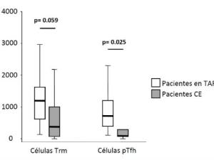 Menor contenido de DNA de VIH entre pacientes VIH con control espontáneo de la infección (EC) y pacientes VIH en tratamiento (TX) en células pTfh, implicadas en el establecimiento del reservorio del VIH y claves en la respuesta inmune de células B. 