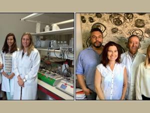 Izquierda: investigadoras de la UAM-CIBERCV, Mercedes Salaices, María González Amor y Ana M. Briones. Derecha: investigadores de la Fundación Jiménez Diaz-UAM-CIBERDEM, Sebastián Mas, Marta Ruiz Ortega, Jesús Egido, Olha Zhenyukh y Raúl Rodrígues Diez. / UAM