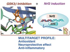Diana terapéutica: Antioxidante, efecto neuroprotector y anti-inflamatorio. / UAM