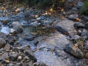 Los investigadores han aplicado un método que determina, a través de un sistema de reconocimiento de olor, los líquidos que contaminan ríos y mares.