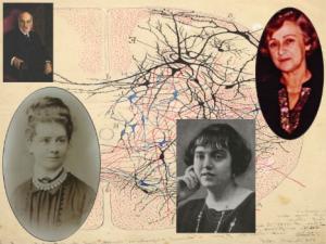 Las neurocientíficas que investigaron con Cajal salen del olvido. / (CSIC)